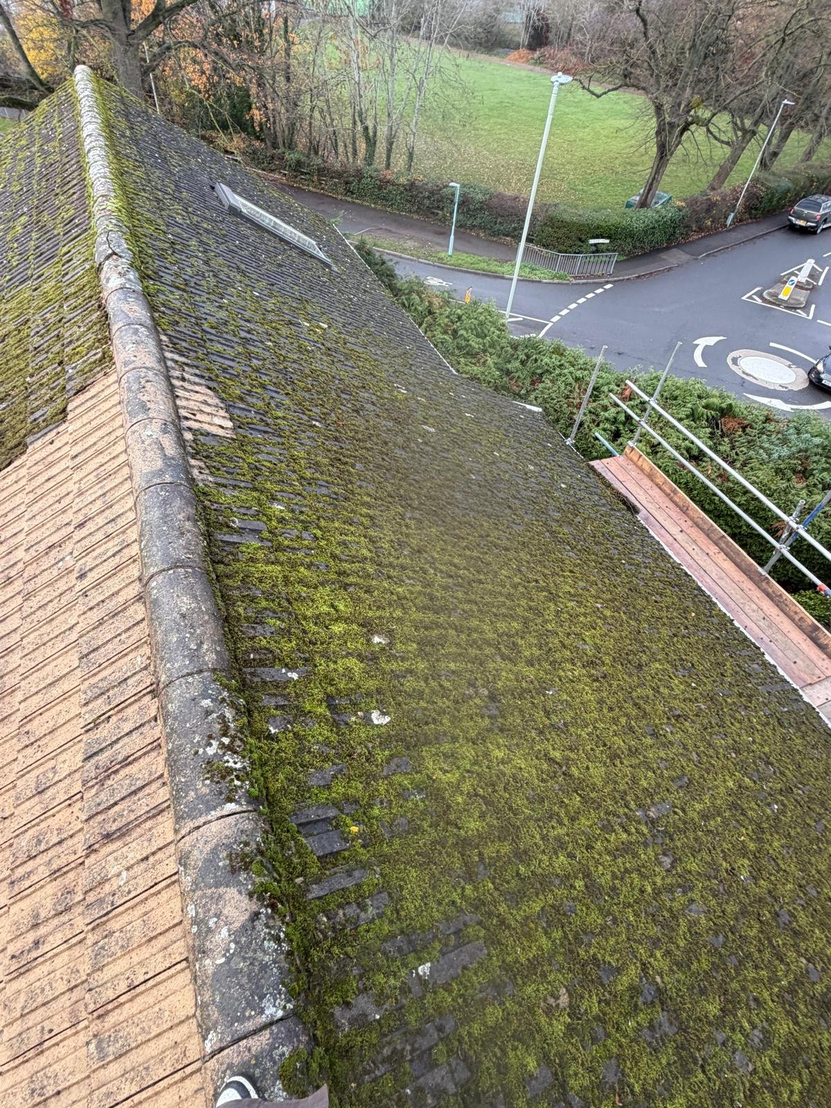 Professional roof cleaning